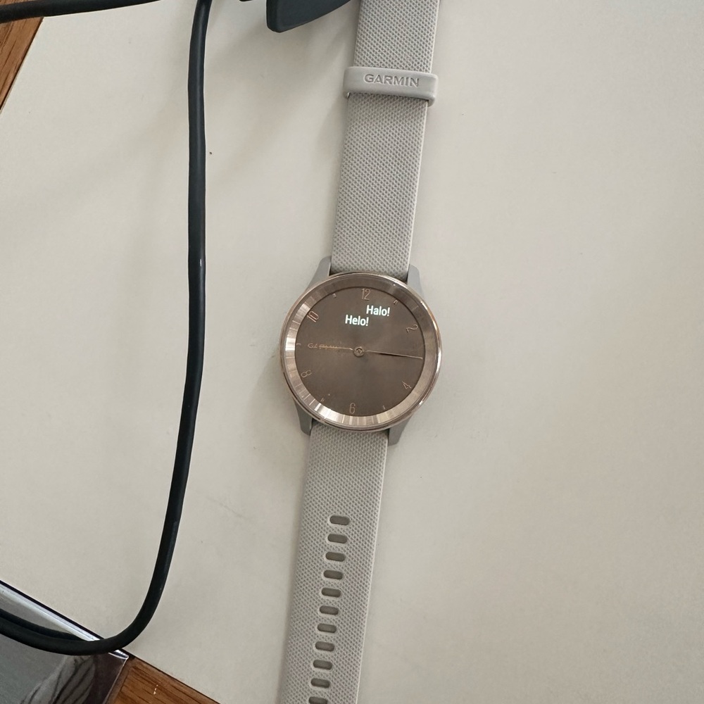 Garmin Silver and Gray Smartwatch